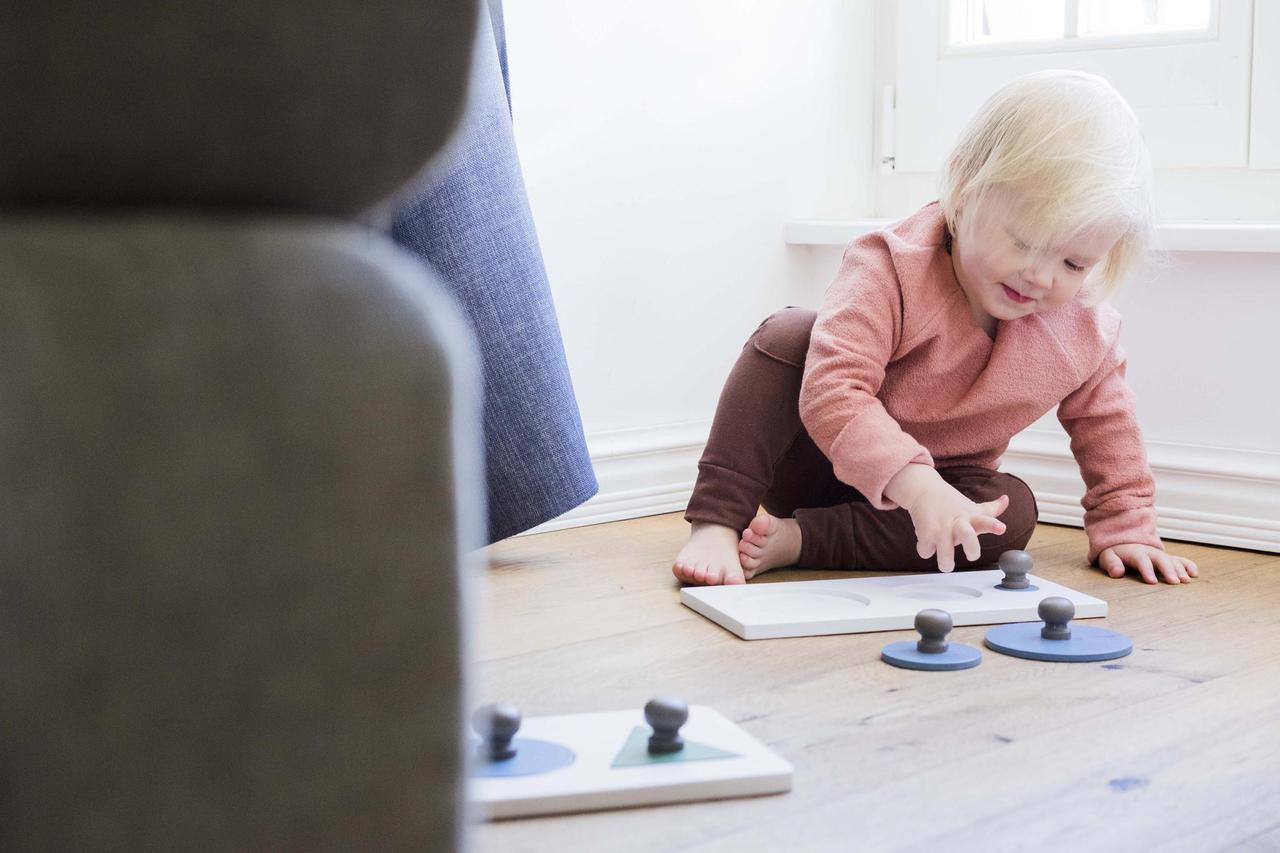 Solid Montessori Wood Shape Puzzle - Circles in Various Sizes